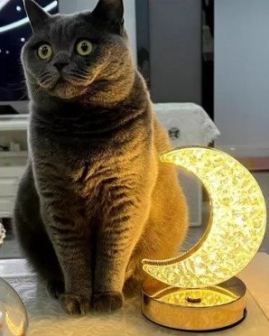 Lámpara luna recargable - Imagen 2
