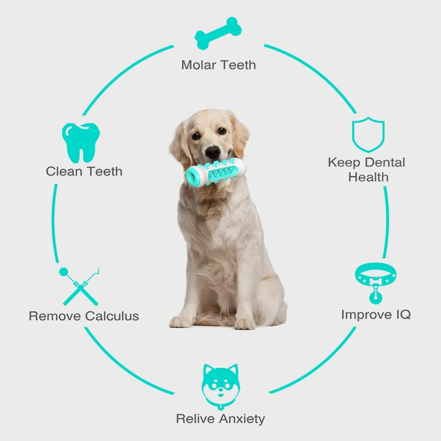 Juguete para Limpiar los Dientes del Perro - Imagen 2