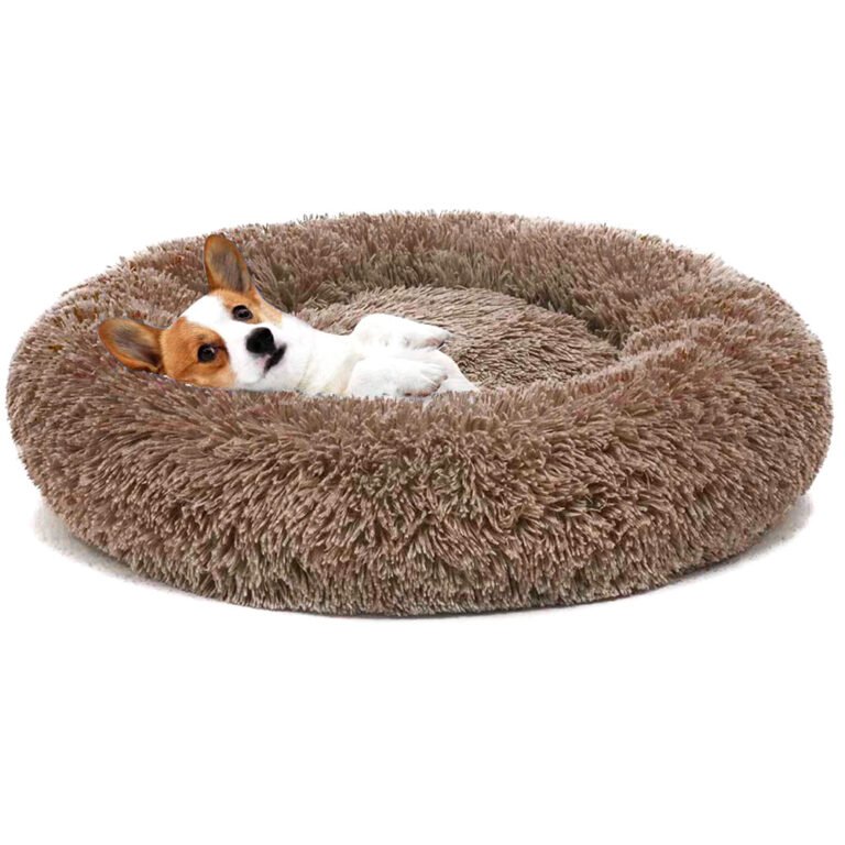cama-perro-marron_24-11-2022